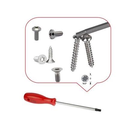 Tx10 tornavida Torx Tornavida saplı